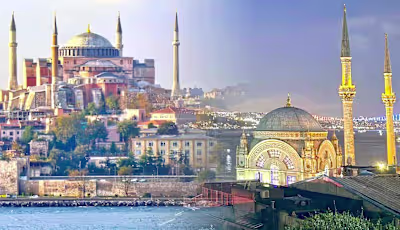 Writer for The Collector