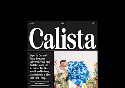 Calista - Brand identity design, Packaging, Web :: Behance