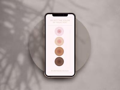 Rivela | Product Design