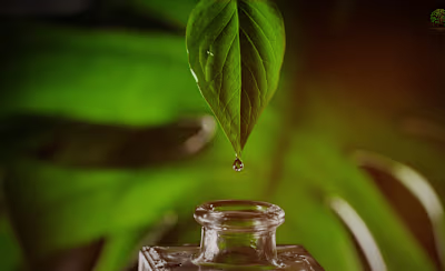 Source of Nature Promotional Video