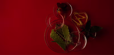 Mienne E-commerce Development