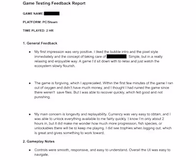 PC Steam Game Playtest