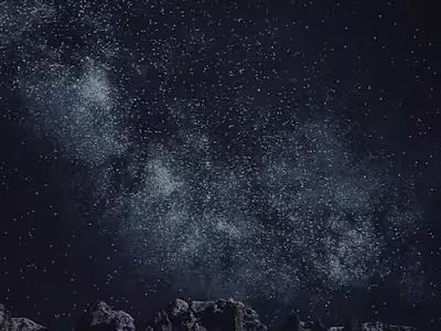 Marketing Platform Selection 