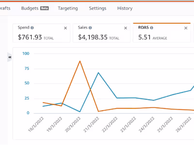 Amazon PPC Campaign