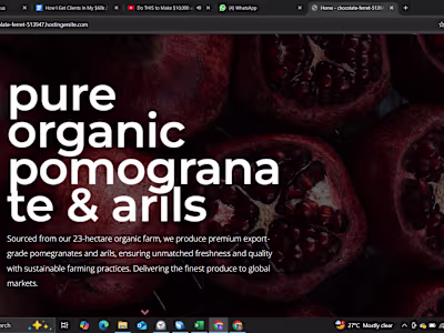 Home - chocolate-ferret-513947.hostingersite.com