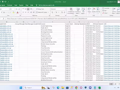 Excel Entry
