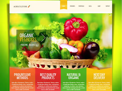 Webflow Website for Web design agency