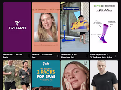 TikTok Reels Motion Ads