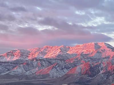 Distributed Microsite SEO Ecosystem for Jim Rhodes