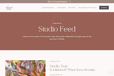 Digital Archive Webflow Development for an Artist