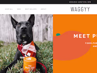 Shopify store for waggy