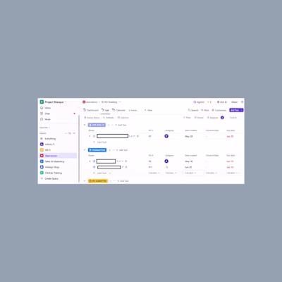 Centralized ClickUp Workspace Implementation for Apparel Agency