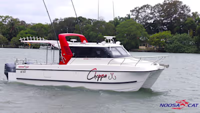 Decal Design for Noosa Cat Australia