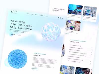 Recently, I designed a Website