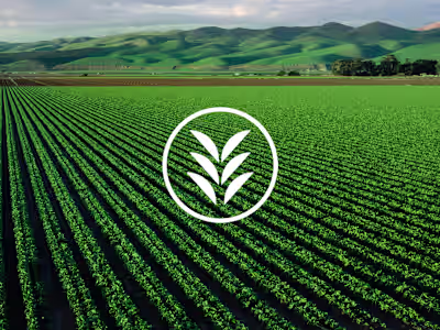 Brand Identity Design for Parlor