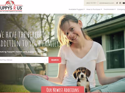 Designer & Purebred Puppies for Sale | Puppys R Us