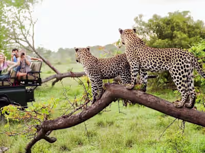 13 incredible South Africa experiences for your bucket list