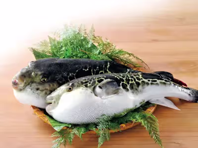 Guenpin restaurant - Interview Short