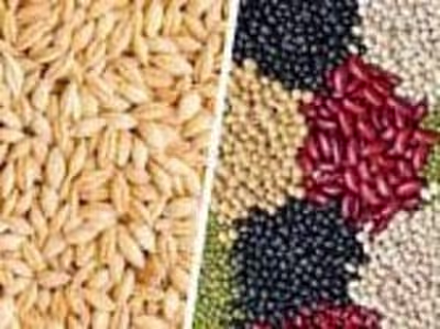 Crop Bidding Project