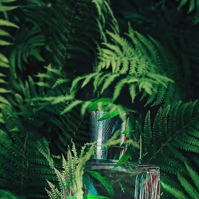 "🦁In the jungle, the mighty jungle"