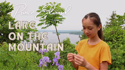 Prince Edward County Tourism Board