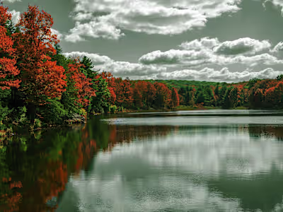 Black Moshannon Solar