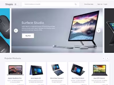 E-commerce Website Development