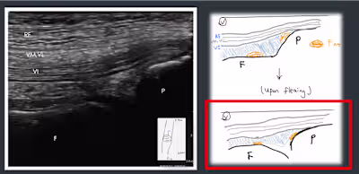 Translator Specialize in Medicine (CH<->EN)