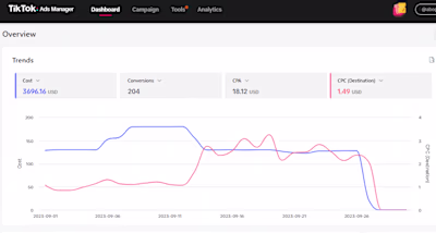 TikTok Ads Management