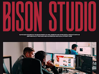 Bison Studio Website