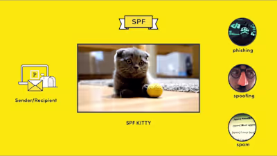 What is SPF? It's a cat. Well, no. But maybe!