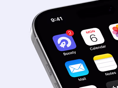 Boosty Wallet Visual Identity