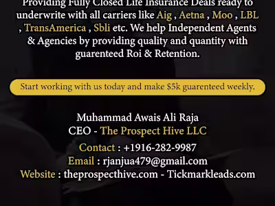 Take your business to heights with our professional Services