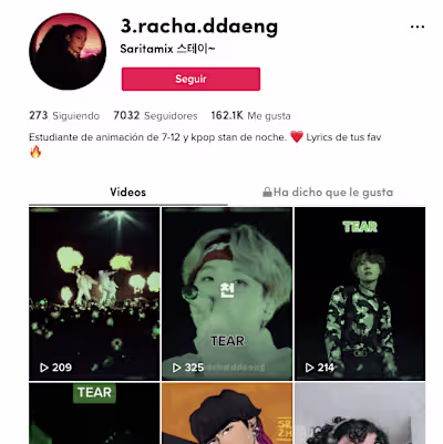 Social Media Management: Focus TikTok