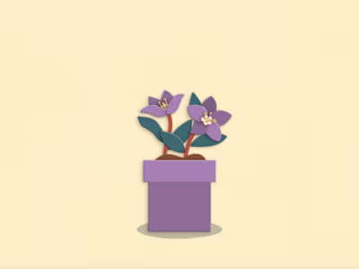 Short Motion Graphic