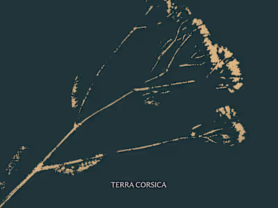 Visual Identity for Terra Corsica