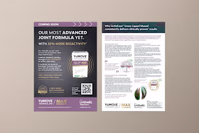 Content for new product campaign