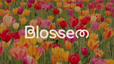 Brand Identity: Blossem