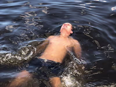 IT'S NOT WHY, IT'S WHY NOT