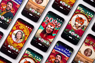 Year of the Tiger Video Filters :: Behance