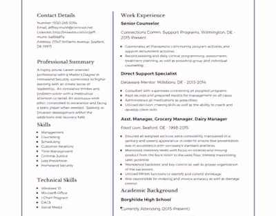 Sample Resume/CV Design