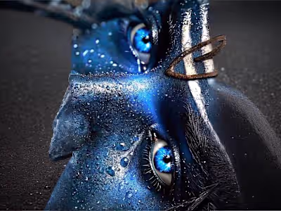 High-Quality Photo & Video Editing