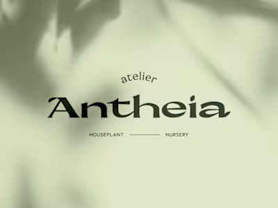 Atelier Antheia - an Artisan Houseplant Nursery Brand