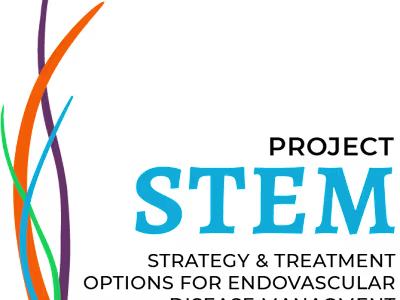 Brand Designing
