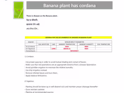 Detecting Disease in Plant using ANN and CNN models in Python