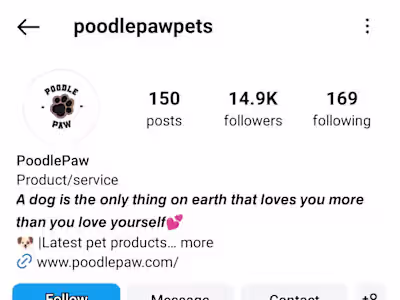 Pet product brand increasing revenue to $25,000