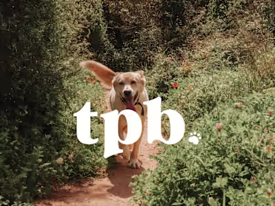 The Pet Bestie Brand Identity Project