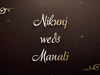 Wedding Highlights
