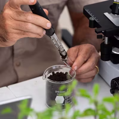 Partnered 1:1 with Kokora’s founder to build a supplement br...