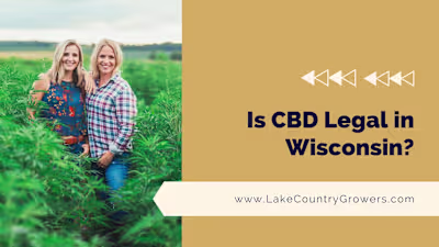 Is CBD Legal in Wisconsin?